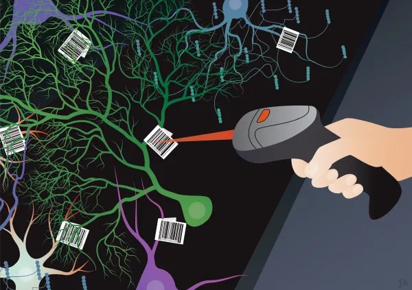 Illustration: a handheld scanner reads barcodes attached to neurons