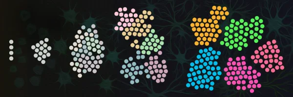 Illustration: clusters of cells become increasingly distinct in colour against a background of neurons