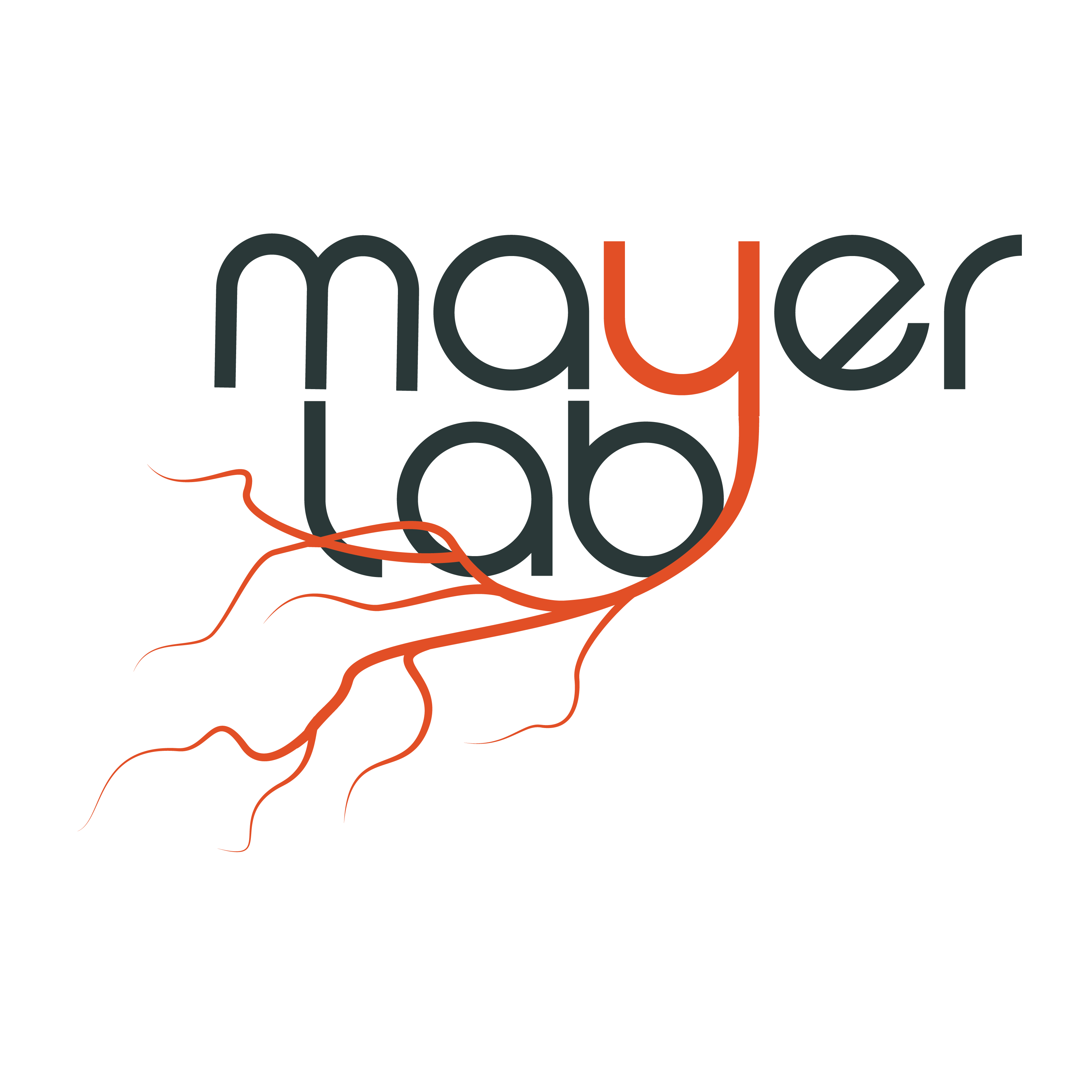 mayerlab